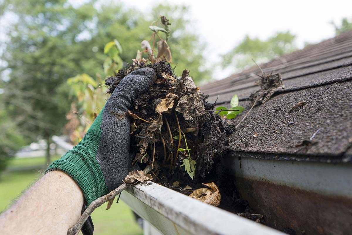 Gutter Cleaning in Houston TX