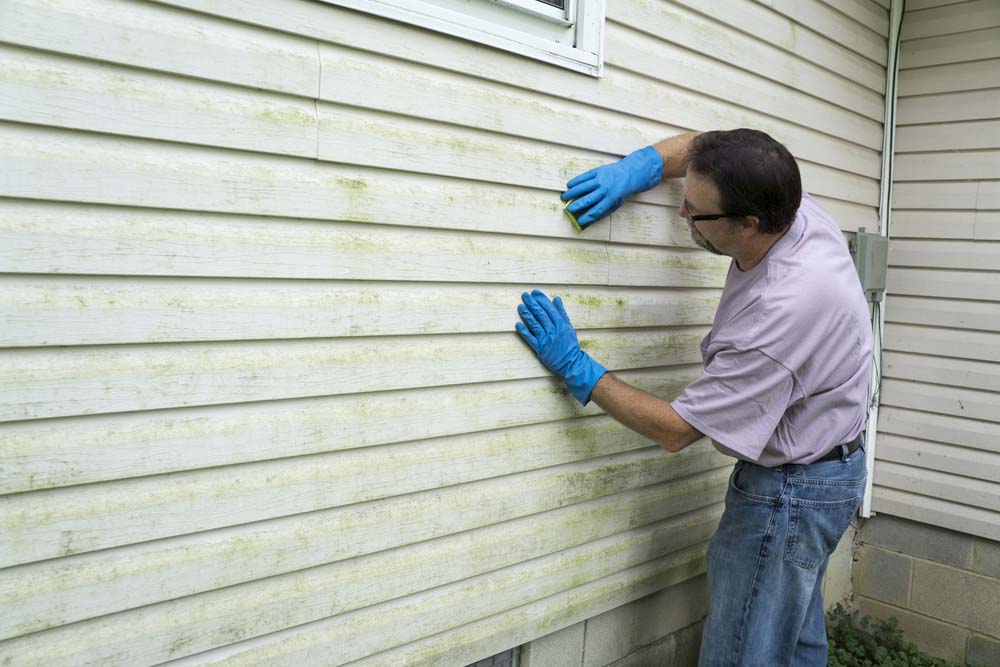 A man cleans vinyl siding with a sponge while wearing blue gloves.