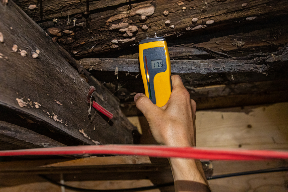 Ceiling beams showing decay are being tested by a contractor with a digital handheld moisture detector