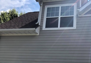 Gutter Cleaning and Installation